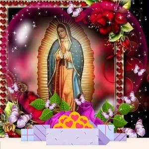 Meet your Posher, Luisa